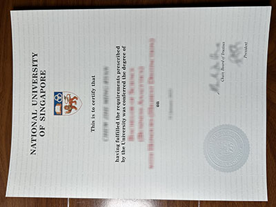 NUS diploma1