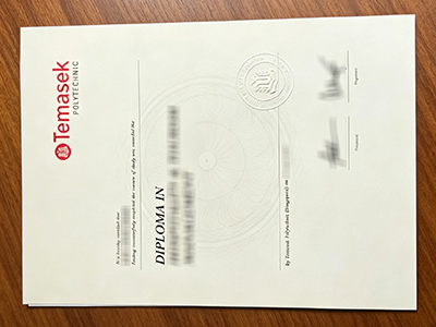 Temasek Polytechnic diploma1