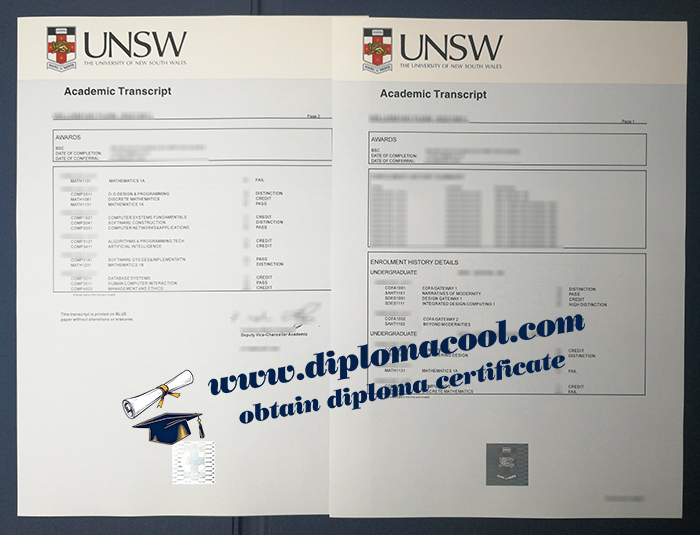 UNSW transcript