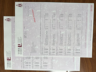 York University transcript1