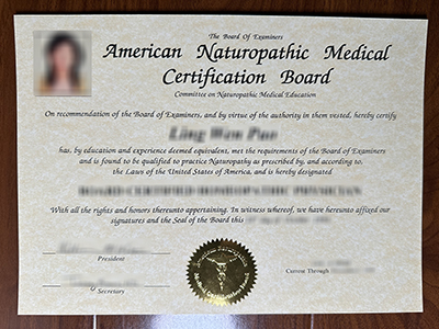 American Naturopathic Medical Certification Board certificate1
