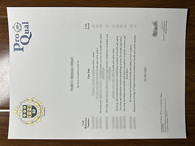 ProQual Level 6 NVQ transcript1