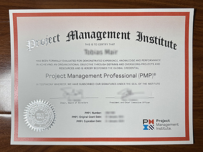 Project Management Professional certificate1
