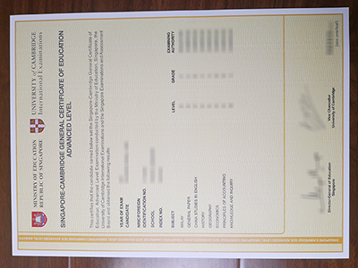 Singgapore-Cambridge GCE A Level Certificate1