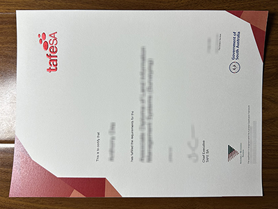 tafeSA certificate1